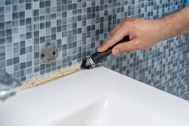 Best Mold Cleaning Services  in Santa Clara, OR